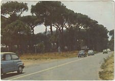 PINETA DI FREGENE - ROMA - VIAGG. 1978 -36302-