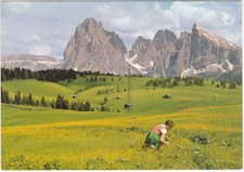 ALPE DI SIUSI - VAL GARDENA -