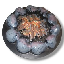 Vintage 1972 Barbie Camp Out