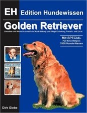 Golden Retriever: Charakter