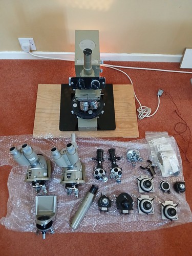 Microscopio polarizzatore