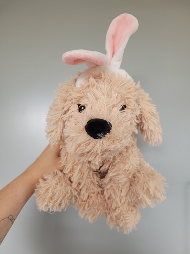 Tesco curtis cavapoo 14 - -,
