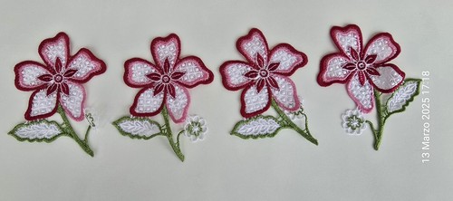 Toppe patch ricamate - 25,