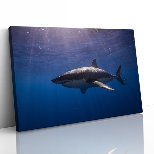 Quadro gabbia immersioni