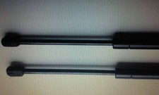 2 Ammortizzatori Cofano