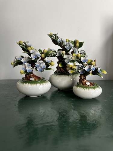 Albero ceramica di - in,
