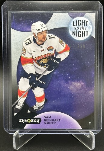 Synergy sam reinhart - 22-23,