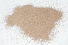 50g Uova cisti di artemia