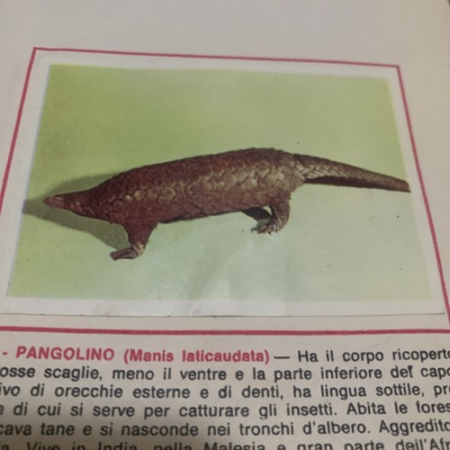 Figurina 169 animali - n., ed