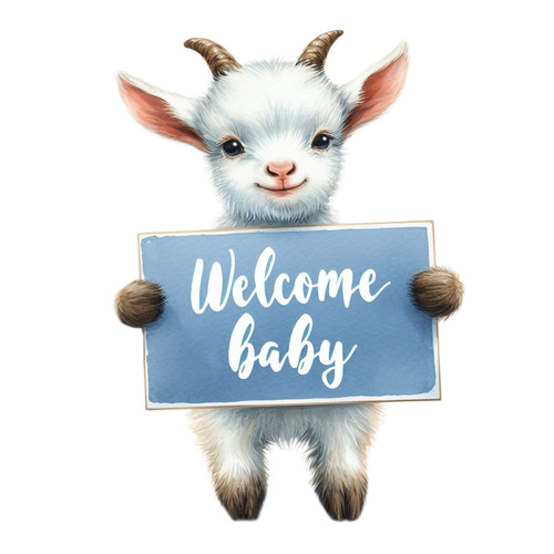 Adesivi auto welcome baby - auto,