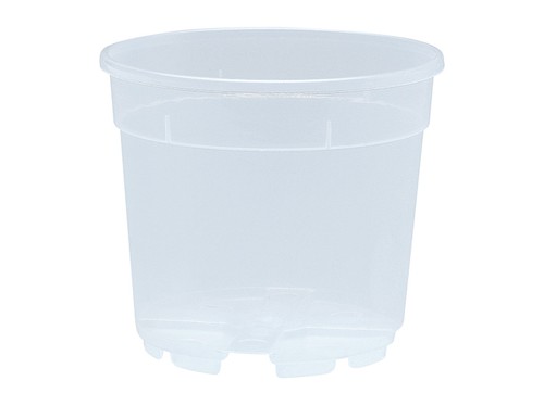 Vaso trasparente per orchidee