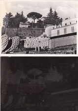 ZAFFERANA ETNEA - lastra e cartolina archivio Dalle Nogare e Armetti- Milano(2)