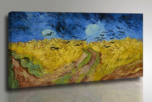 Vincent van gogh campo - vincent,