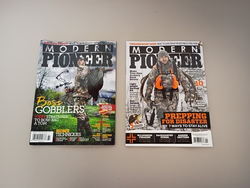 Lot modern pioneer 2016 - of,