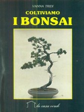 COLTIVIAMO I BONSAI TRIDI
