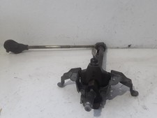 CANNA DELLO STERZO (PIANTONE)