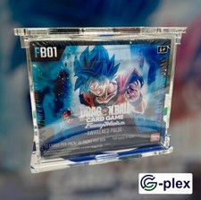Case In Plexiglass Box