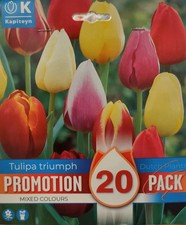 Promo Bulbi di Tulipano Triumph Colori misti Kapiteyn 20pz