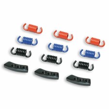 MALOSSI M298747 CLUTCH SPRINGS