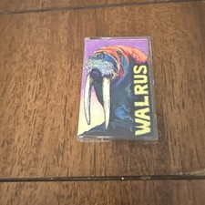 Rare Walrus “Odobenus”