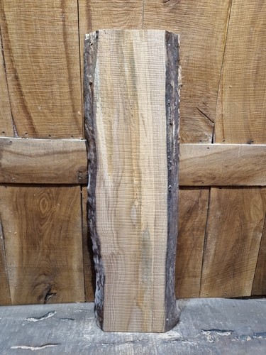 Lastra rovere bordo - lastra, vivo