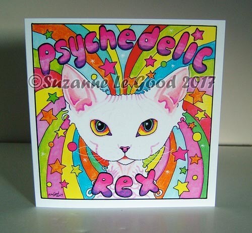 Devon rex cat - devon,