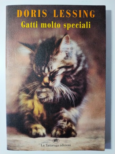 Gatti molto speciali - gatti,