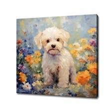 Maltipoo carino cucciolo cane