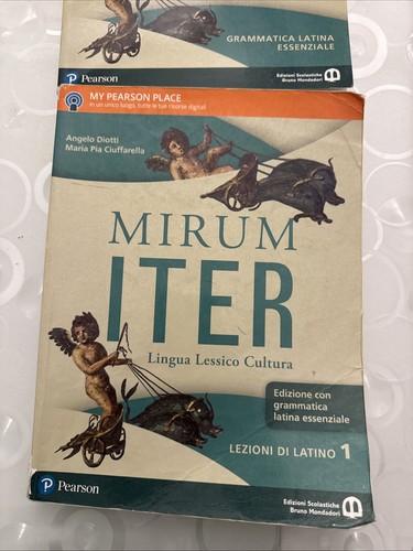 Libri scolastici usati - libri,