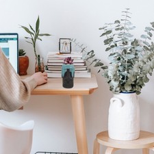  Vasi Per Fiori Da Interno