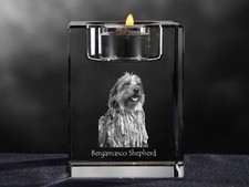 Cane pastore bergamasco - cane,