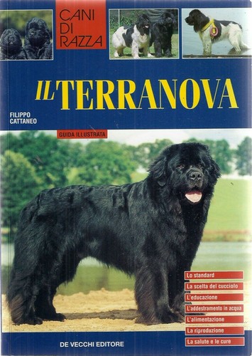 Terranova cattaneo de - il,