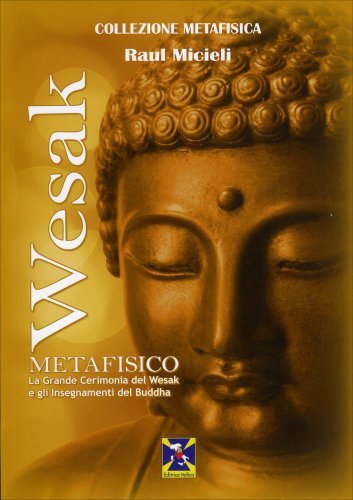 Libro metafisico grande - libro,