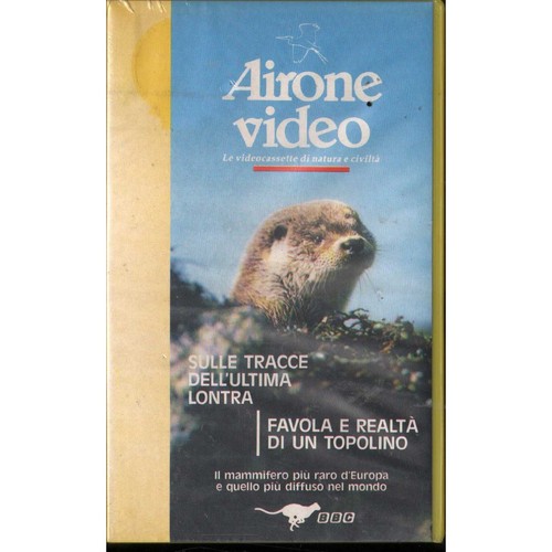 Airone video ultima lontra - ultima,