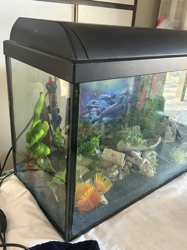 Acquario 30 cm h 40 - 30,