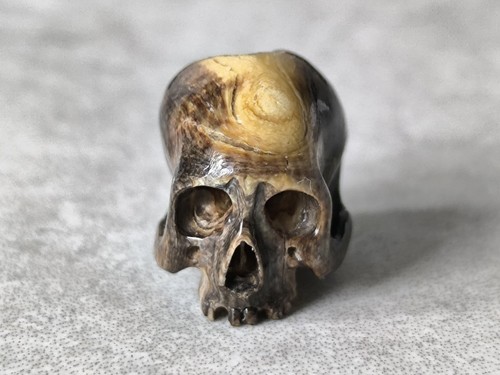 Memento mori rainbow - memento, coral
