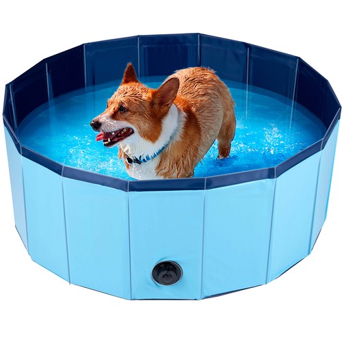 Piscina per cani pieghevole - piscina,