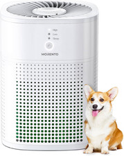 Purificatore D'Aria Camera Da