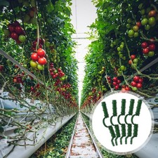 20 pezzi morsetti per serra