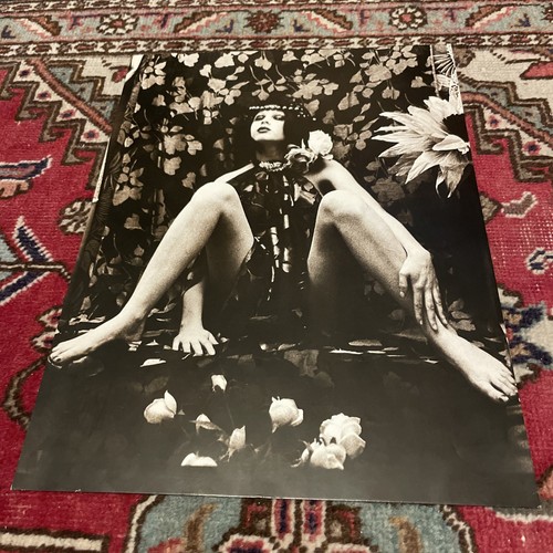 Irina ionesco planche fafa - ionesco,