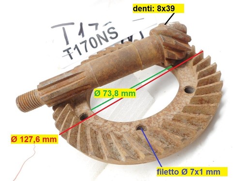 Pignone corona di - e,