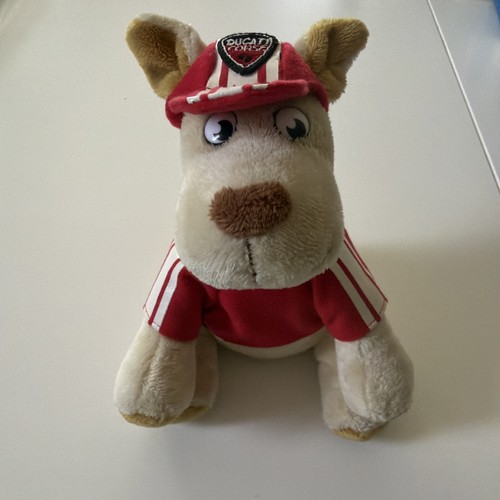 Ducati corse peluche - corse, cucciolo