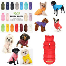 Giacca cane imbottita