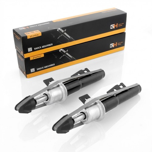 Coppia ammortizzatori gas - a,