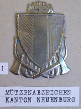 Svizzera vigili del fuoco