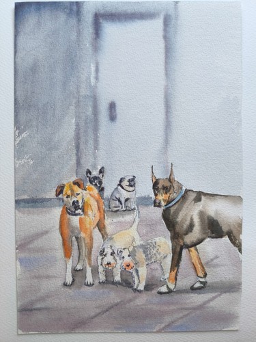 Quadro acquerello cani a - acquerello.,