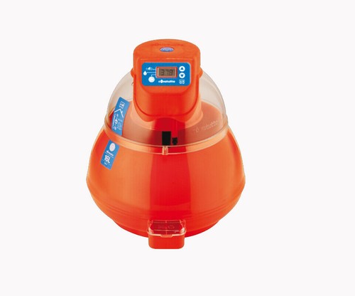 Incubatrice covatutto 16l - incubatrice,