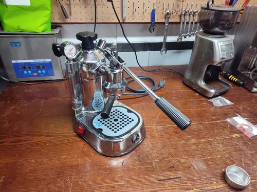Pavoni europiccola - la,
