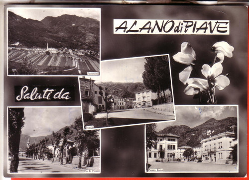 Cartolina alano piave - , di