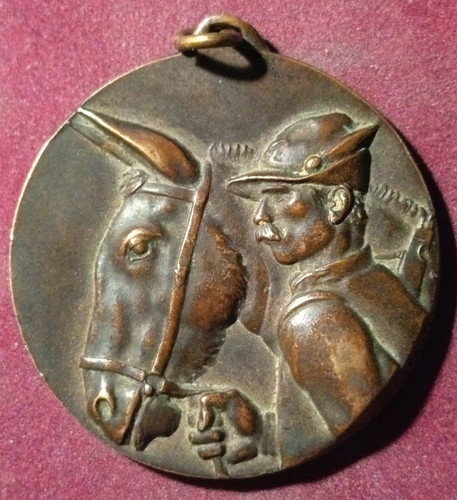 Medaglia adunata nazionale - adunata,